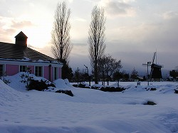 20051229kosei (13).jpg